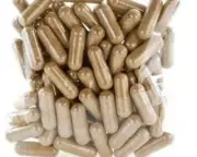 ORGANIC Slippery Elm 500mg x 60 VEGGIE capsules ships from aust