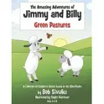 THE AMAZING ADVENTURES OF JIMMY AND BILLY: GREEN PASTURESVOLUME 3