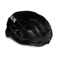 在飛比找蝦皮購物優惠-胖虎單車 Kask Protone ICON WG11 Ro