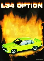 BIANTE BROCHURE - Holden LH L34 OPTION SL/R 5000 TORANA Barbados Green Suit 1:18