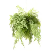 [Florabelle Living] Fern Hanging 75cm