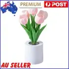 LED Artificial Tulip Night Light Rechargeable Desk Lamp Decor (Pink 5 Flowers)