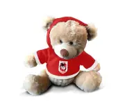 NRL Rugby League Team 7'' Plush Teddy Bear with Hoodie