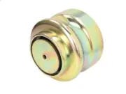 Roll-off Piston, air suspension bellows MAGNUM TECHNOLOGY for FR1 9.8 1983-