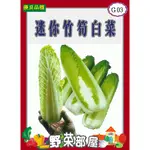 【萌田種子~】G03 日本迷你竹筍白菜種子0.27公克 , 甜味佳 , 每包16元~