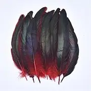 50 pcs/Lot Colorful Rooster Feathers for Crafts Holiday Black Chicken Decoration for Needlework and Handicrafts Red