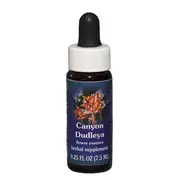 Fes Quintessentials Canyon Dudleya 7.5ml