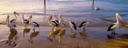 QPuzzles 525XL Piece Jigsaw Puzzle - Ken Duncan - Nature's Fishermen