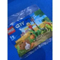 在飛比找蝦皮購物優惠-正版LEGO樂高·30590農場稻草人