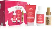 Wella Professionals Invigo Color Brilliance Gift Set Spring(Color Protection) 3pcs
