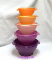 ✅ Brand New Tupperware SUMMER SUNSET SERVALIER Set Of 5~MULTICOLOR*