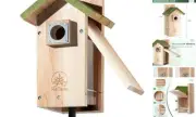 3/4 Thick Cedar Bird Houses with Metal Predator Guard, Nesting Box Modern