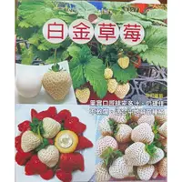 在飛比找蝦皮購物優惠-尚未開花結果 [ 白金白草莓盆栽 日本白草莓盆栽 粉白草莓 
