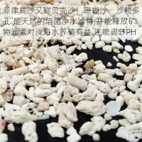 在飛比找樂天市場購物網優惠-魚缸造景底砂菲律賓沙貝殼沙珊瑚砂白沙子三湖慈鯛寄居蟹天然海沙