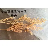 在飛比找蝦皮購物優惠-花花柑仔店『不凋樺木葉』乾燥花 不凋花 永生花材 花束 捧花