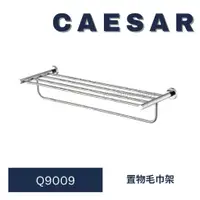 在飛比找蝦皮購物優惠-caesar 凱撒 Q9009 毛巾桿 浴室毛巾桿 置物毛巾