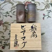 Echizen Ware Hikari Kiln Beer Mugs Pair of Dimples in Paulownia Box