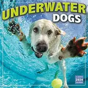 Underwater Dogs 2024 Wall Calendar, 16-Month Animal Calendar, 12" x 12"