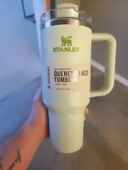 Stanley GREEN DEVINE 40 oz Quencher Tumbler *Limited Edition DANI AUSTIN Edition