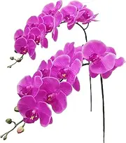 Fnize Artificial Orchid Stems Real Touch Latex Phalaenopsis Branches Faux Cymbidium Flowers 9 Large Petals 38 Inches 2pcs (Rose red)