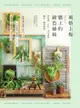 風格上板—牆上的綠色植栽：鹿角蕨‧石松‧空氣鳳梨‧蘭花‧觀葉植物 - Ebook