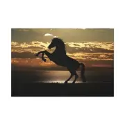 Horse Sunset Silhouette Canvas Wall Art Print Home & Office Decor ready to Hang