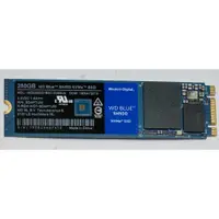 在飛比找蝦皮購物優惠-(原廠保固中) 威騰 WD M.2 固態硬碟 SSD 藍標 