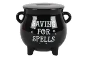 Crystal Wonderland Witches Cauldron Money Box