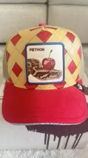Goorin Bros Trucker Hat, PIETHON, PIE-THAGOREAN. SOLD OUT, LIMITED CIRCULATION