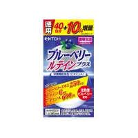 在飛比找DOKODEMO日本網路購物商城優惠-[DOKODEMO] ITOH井藤漢方製藥 藍莓葉黃素 13
