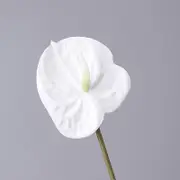 1pcs 3D Printing Anthurium Flower Arrangement Accessories Artificial Green Plants Potted Home Hotel Decoration Photography Props 7