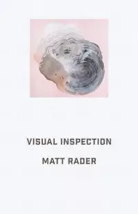 在飛比找博客來優惠-Visual Inspection