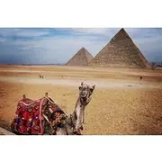 Save 20.00%! Full-Day Giza Pyramids Sphinx Sakkara Private Tour with Pickup