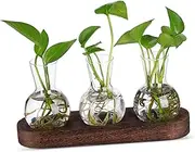 Milisten 1 Set Creative Glass Terrarium Kit with Base Hydroponics Planter for Desktop Decoration Clear Vases for Propagation Centerpiece for Home Office