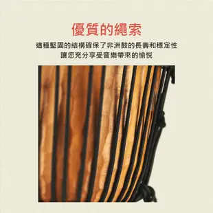 非洲鼓 樂器 手鼓 打擊樂器 金杯鼓 非洲鼓10吋 手打鼓 羊皮鼓 Djembe MEINL HDJ4-M 凱旋樂器