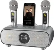 Upgrade Karaoke Machine for Adults and Children, Portable Bluetooth 2 UHF Wir...