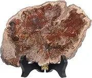 mookaitedecor Natural Petrified Wood Slab Specimen with Wooden Stand, Irregular Wood Slice Stone Figurine Table Display for Home Decoration