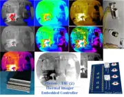 Flir TAU/TAU2 Thermal Camera Controller Color Palate/Zoom/Freeze/FFC/AGC NO PC