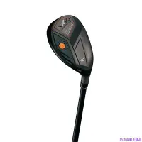 在飛比找Yahoo!奇摩拍賣優惠-現貨熱銷-20新款XXIO xxio高爾夫球桿MP1100 