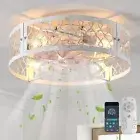Caged Ceiling Fan with Light, 20" Flush Mount, Remote Control, Bladeless, Farmho