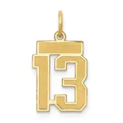 10K Yellow Gold 10Ky Small Satin Number 13 Charm