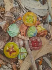 Forest Floor With Gumnuts Original Oil Painting