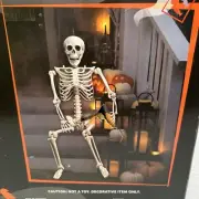 5 Ft. Life-Size Posable Plastic Skeleton Halloween Decoration