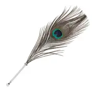 28cm/11" Feather Ballpoint Pen 1Pcs Ink Vintage Quill Pen Peacock