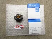06 - 08 BUICK LUCERNE 3.8L ENGINE COOLANT THERMOSTAT OEM NEW
