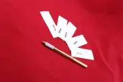 Eyebrow Microblading pen + 5 needles