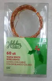 Holiday Living 60 LED Warm White 19.6-ft Battery Operated String Lights W/Timer