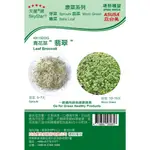 愛上種子 青花菜 【芽菜種子】LEAF BROCCOLI 天星牌 原包裝 約20公克 水耕 土耕 魚菜共生適用