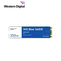 在飛比找Yahoo奇摩購物中心優惠-WD 藍標 SA510 250GB M.2 2280 SAT