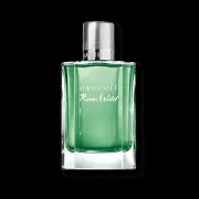 Davidoff Run Wild EDT For Men